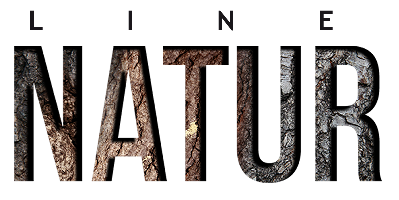 Handles Collection Door Lock Turgriffe Line 